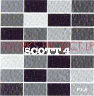 Cover Scott4